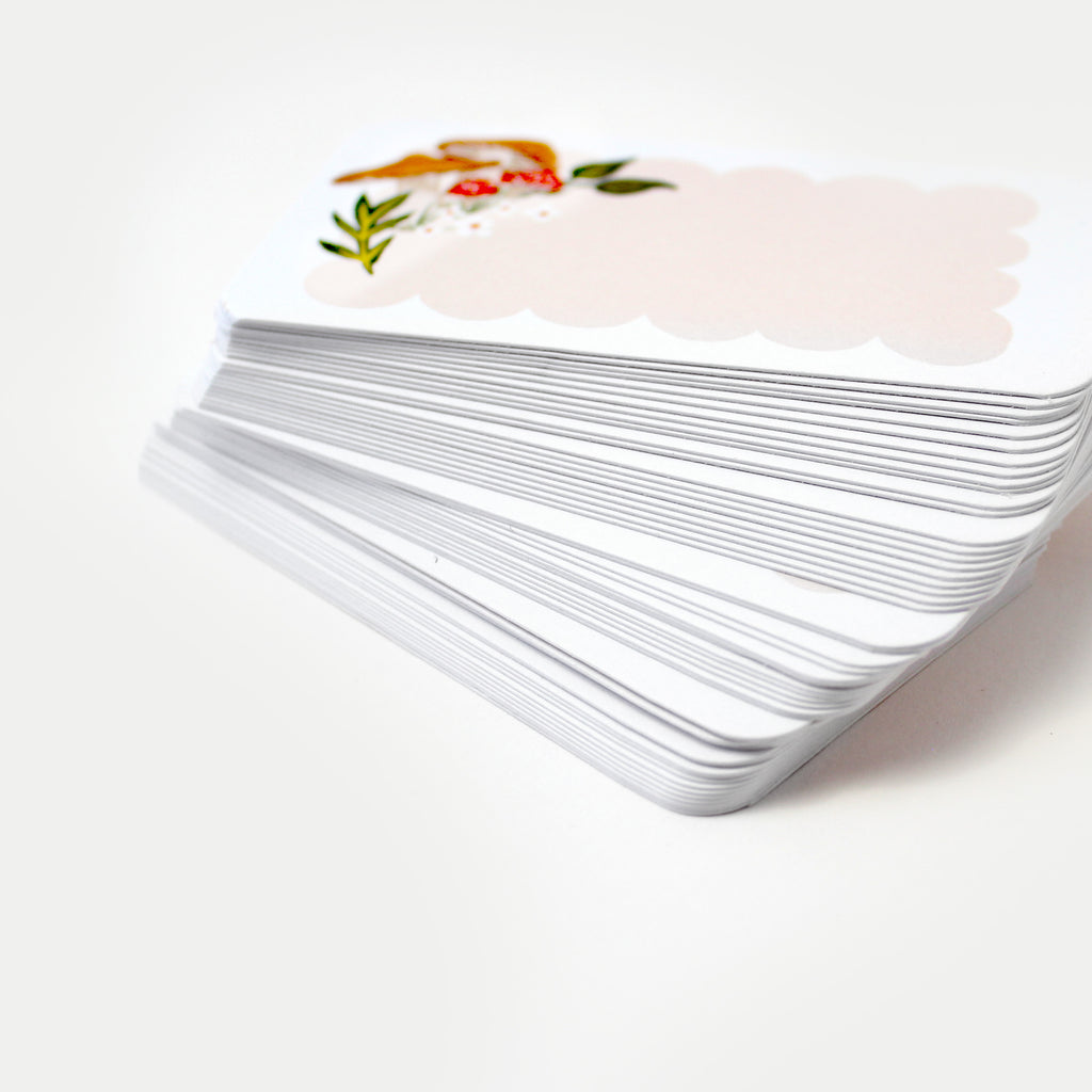 Pocket Notes™ - Woodland Mushrooms